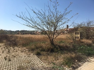 Suelos en Artesa de Lleida 26