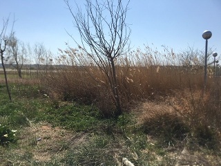 Suelos en Artesa de Lleida 27