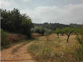 Suelos en Sant Joan de Moró 7