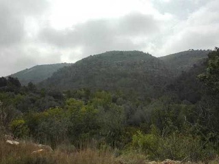 Suelos en Sant Joan de Moró 8