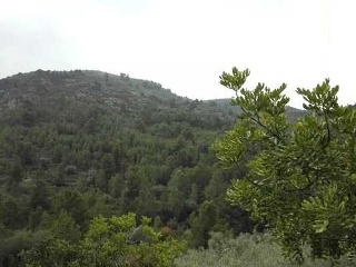 Suelos en Sant Joan de Moró 9