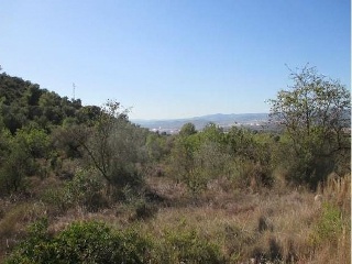 Suelos en Lg Mas de Canina, Sant Joan de Moró (Castellón/Castelló) 11