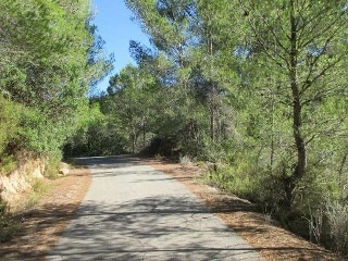 Suelos en Lg Mas de Canina, Sant Joan de Moró (Castellón/Castelló) 12