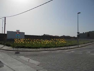Suelo en C/ Lleida, Torregrossa (Lleida) 19