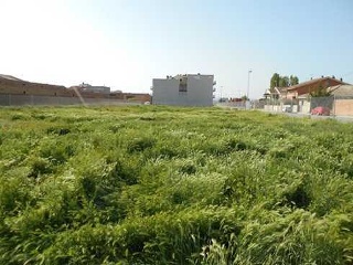 Suelo en C/ Lleida, Torregrossa (Lleida) 20