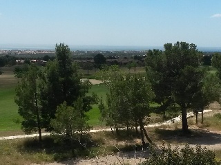 Suelo en Pratdip 17