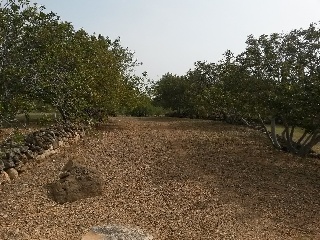 Suelo en Pratdip 19