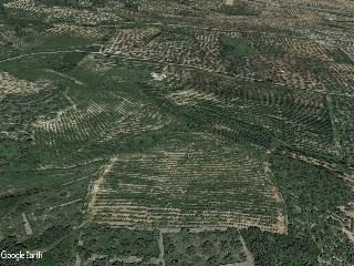 Terreno con edificación en Pt Sinyoles o Carxols, La Sénia 17