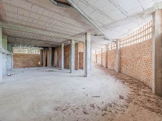 Concha Lagos 44