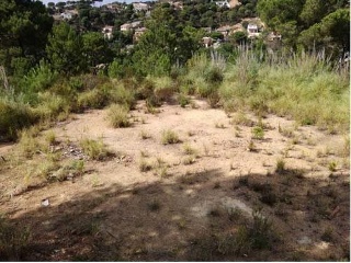 Suelo en C/ Neptú, Lloret de Mar (Girona) 6