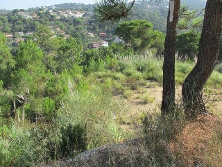 Suelo en C/ Neptú, Lloret de Mar (Girona) 8