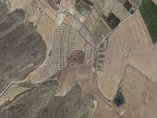 Suelo en Jumilla - Murcia - 10