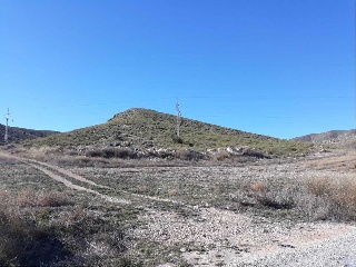 Suelo en Jumilla - Murcia - 13