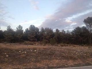 Suelo en Ayora 17