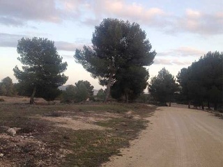 Suelo en Ayora 18