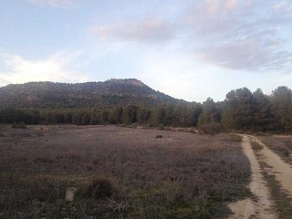 Suelo en Ayora 19