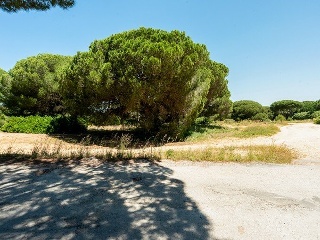 Suelo en Chiclana de la Frontera 8