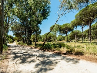 Suelo en Chiclana de la Frontera 9