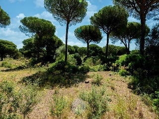 Suelo en Chiclana de la Frontera 13