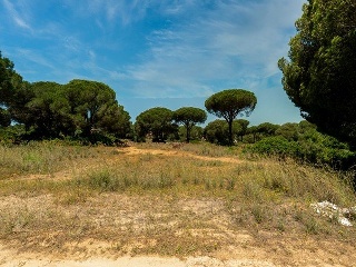 Suelo en Chiclana de la Frontera 16