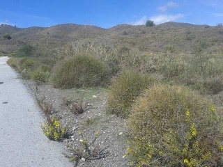 Suelo urbanizable en Torrox 14