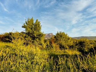 Suelo en Jaca 24
