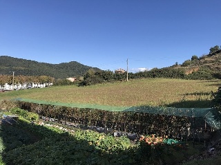 Suelo en Olot 15