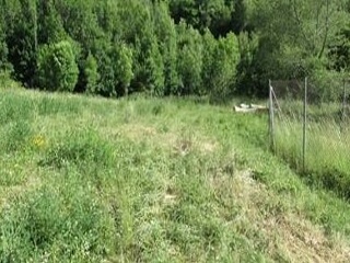 Suelo en Sc 3 y 4, Panticosa (Huesca) 16