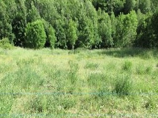 Suelo en Sc 3 y 4, Panticosa (Huesca) 17