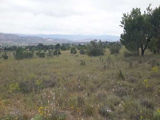 Suelo en Villena - Alicante - 18