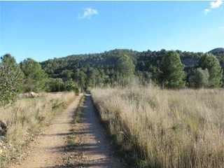 Suelo en Peñíscola 15