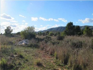 Suelo en Peñíscola 16