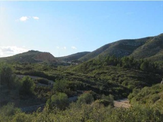 Suelo en Peñíscola 17