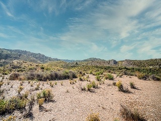 Suelo en Lorca 71