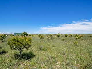 Suelo en La Lastrilla 27