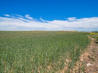 Suelo en La Lastrilla 30