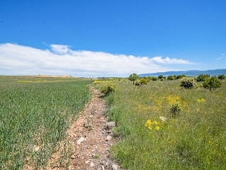 Suelo en La Lastrilla 31
