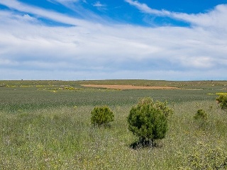 Suelo en La Lastrilla 38