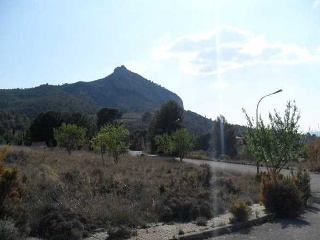 Suelo en Villena 20