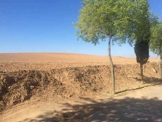 Suelo en Taracena 20