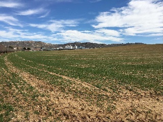 Suelo en Taracena 22