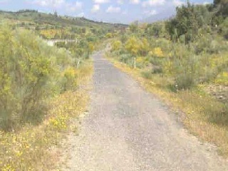 Suelo en Alcaucín - Málaga - 15