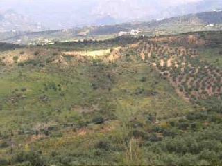 Suelo en Alcaucín - Málaga - 16