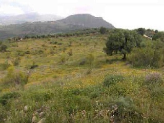 Suelo en Alcaucín - Málaga - 17