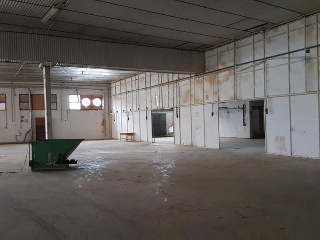 55966-0001 11