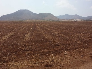 Suelos en término municipal de Cartagena 28