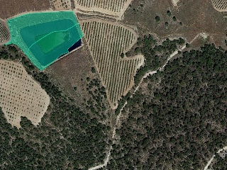Suelo en Jumilla 6