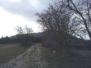 Suelo en Estella-Lizarra 10