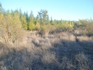 Suelos en Vega de Tera 14