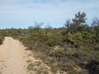 Suelo en Requena 10